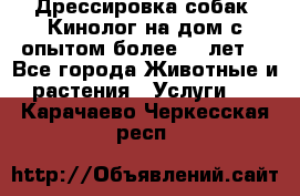 Дрессировка собак (Кинолог на дом с опытом более 10 лет) - Все города Животные и растения » Услуги   . Карачаево-Черкесская респ.